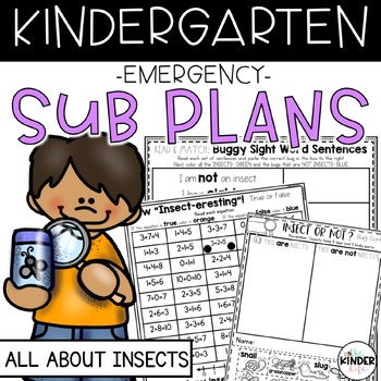 Preview of Insects Emergency Kindergarten Sub Plans | May | NO PREP Sub Plans for Kinder
