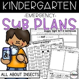Insects Emergency Kindergarten Sub Plans | May | NO PREP S