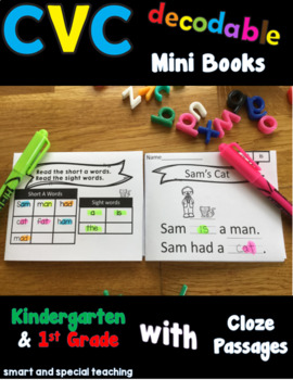 Preview of CVC Stories mini-books for RTI and Beginning Readers