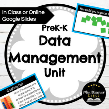 Preview of Kindergarten Data Management Mini-Unit: Organizing Info and Using Tally Marks