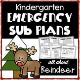 Kindergarten December EMERGENCY SUB PLANS- Winter- All Abo