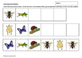 Kindergarten Maths - Insect Patterns Activities - Math - A