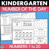 Kindergarten Math Number of the Day Worksheets Counting Nu