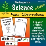 Kindergarten Plant Observation and Recording Journals