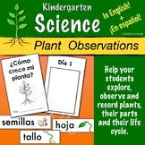 Kindergarten Plant Observation and Recording Set in Spanis