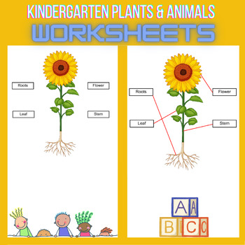 Preview of Kindergarten Plants & Animals Worksheets/bundle