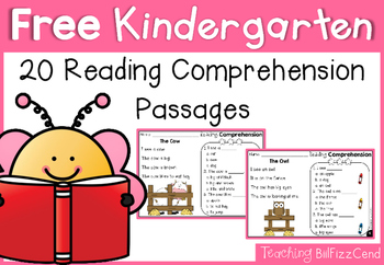 Preview of Free Kindergarten Reading Comprehension and Questions