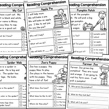 Kindergarten Reading Comprehension Passages - BUNDLE - Seasons Set 2