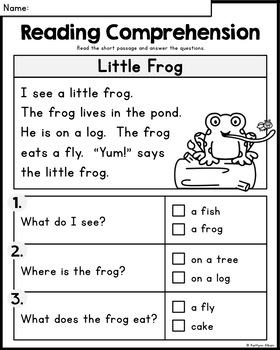 Kindergarten Reading Comprehension Passages - SUMMER by Kaitlynn Albani