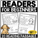 Kindergarten Reading Comprehension Passages | Set 1