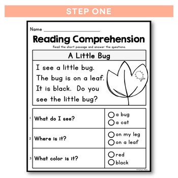 Kindergarten Reading Comprehension Passages - Set 2 | DIGITAL DISTANCE ...