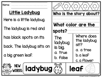 kindergarten reading comprehension passages spring tpt