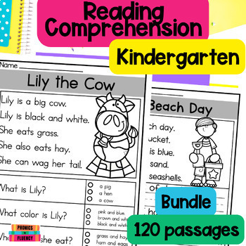 Preview of Reading Comprehension Passages and Questions Kindergarten - Bundle