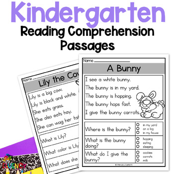 Preview of Kindergarten Reading Comprehension Passages and Questions - Free