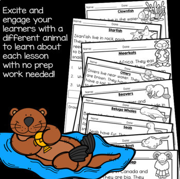 Kindergarten Reading Comprehension Passages and Questions, Set 2 (Animals)