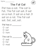 Kindergarten Reading Fluency Comprehension Passages (Short