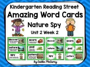 Preview of Kindergarten Reading Street Amazing Word Cards Nature Spy