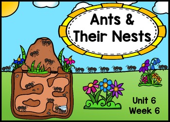 Preview of Kindergarten Reading Street Ants & Their Nests Flipchart Unit 6 Week 6 Day 1