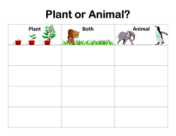 Preview of Kindergarten Science Assessment Set