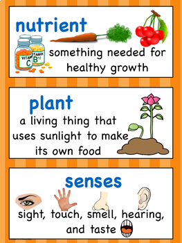 Kindergarten Science - Molecules to Organisms: What do Plants and Animals  Need?