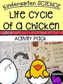 Preview of Kindergarten Science: The Life Cycle of a Chicken