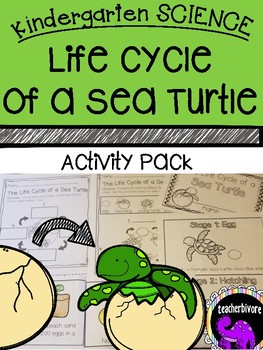Preview of Kindergarten Science: The Life Cycle of a Sea Turtle