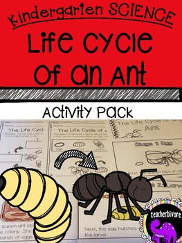 Preview of Kindergarten Science: The Life Cycle of an Ant