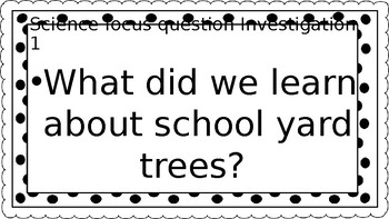 Preview of Kindergarten Science Trees Focus Questions