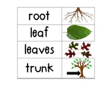 Kindergarten Science Vocab Plants/ Flower