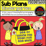 Kindergarten Sub Plans, A Bag of Tricks for When You Are Sick!