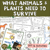 Kindergarten What Animals And Plants Need To Survive | K-LS1-1