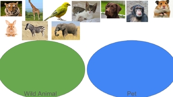 Preview of Kindergarten Wild Vs. Pet animals interactive slides