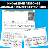 Knowledge Response Journal Kindergarten Five Senses