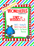 Kindergarten Wonders Reading Supplement ~ Unit 9 Bundle