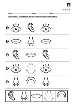 Preview of Kindergarten_Body Parts_Actions_Animals_Toys Worksheets for 4 Weeks