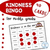 Kindness Bingo Game  Valentine Party Vocabulary Reading