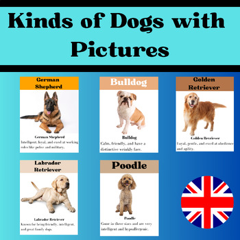 Preview of Kinds of Dogs with  Pictures : Flash cards and Definitions