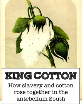 Preview of King Cotton: the rise of slavery in the South - student investigation stations