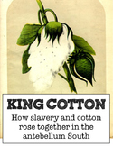 King Cotton: the rise of slavery in the South - student in