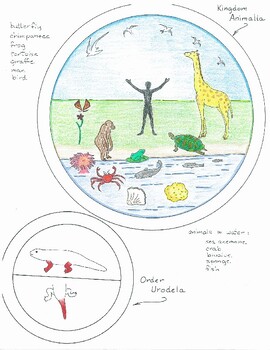 Preview of Kingdom Animalia Taxonomic Circles (Montessori color print+cut)