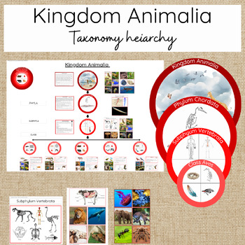 Preview of Kingdom Animalia - taxonomy for vertebrates