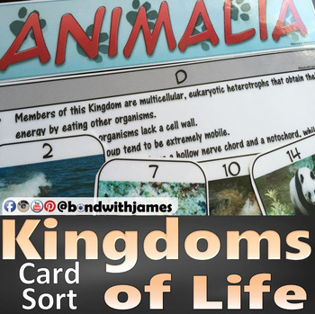 Preview of Kingdoms of Life: Card Sort Manipulative