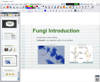 Preview of Kingdom Fungi - ActivInspire Flipchart Presentation