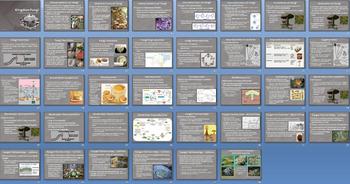 Preview of Kingdom Fungi Fungus Smartboard Notebook Presentation Lesson Plan