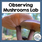 Structures in Kingdom Fungi: Observing Mushrooms Lab Activity