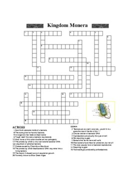 Kingdom Monera Crossword Puzzle by Creative Curricula TpT