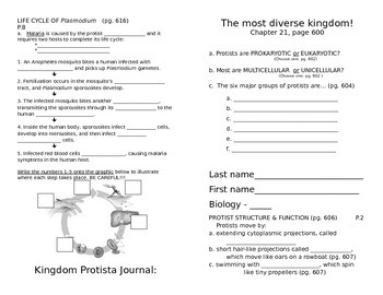 Preview of Kingdom Protista Lesson