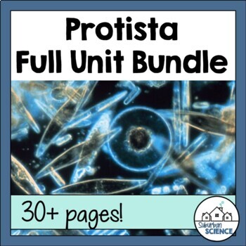 Preview of Kingdom Protista Unit: Powerpoint, Notes, Lab, Student Review Centers, & Quiz