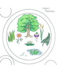 Preview of Kingdom Vegetalia/Plantae Taxonomic Circles (Montessori color print+cut)