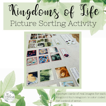 Preview of Montessori Kingdoms of Life Picture Sorting Activity